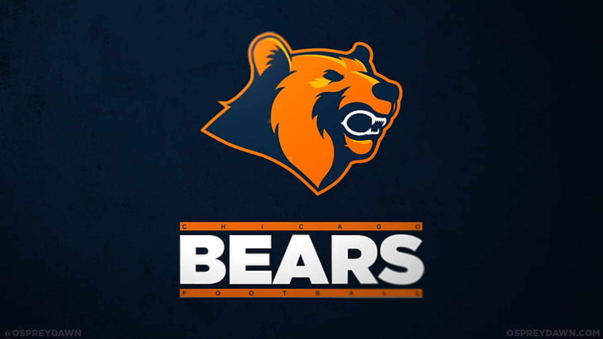 Cool Bears Logo Wallpapers