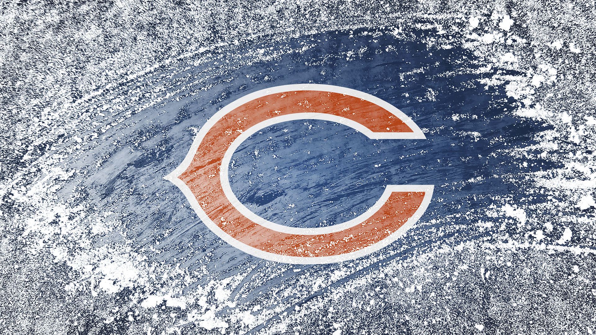 Cool Bears Logo Wallpapers