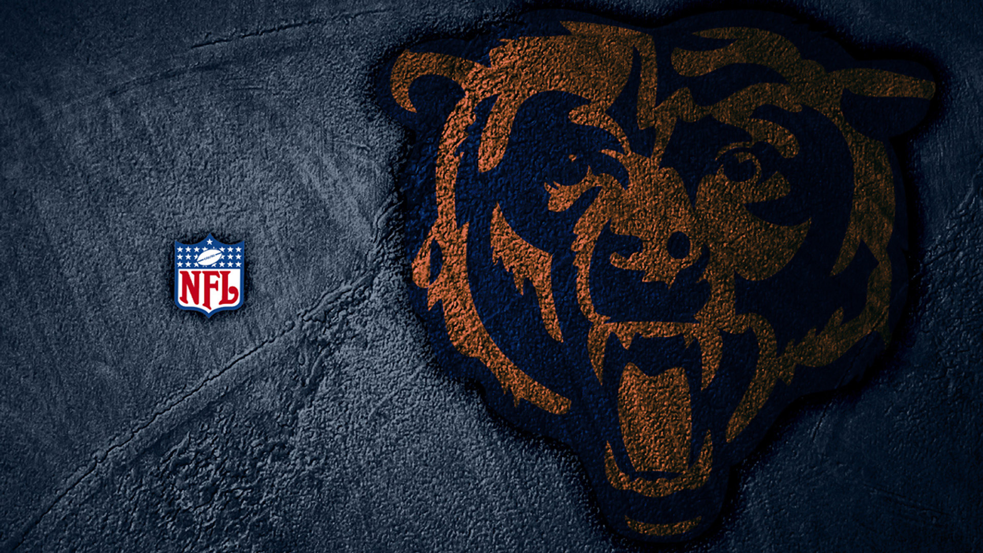 Cool Bears Logo Wallpapers