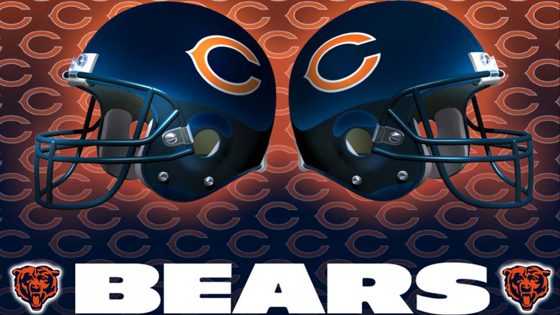 Cool Bears Logo Wallpapers