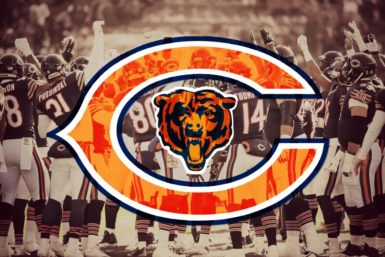 Cool Bears Logo Wallpapers