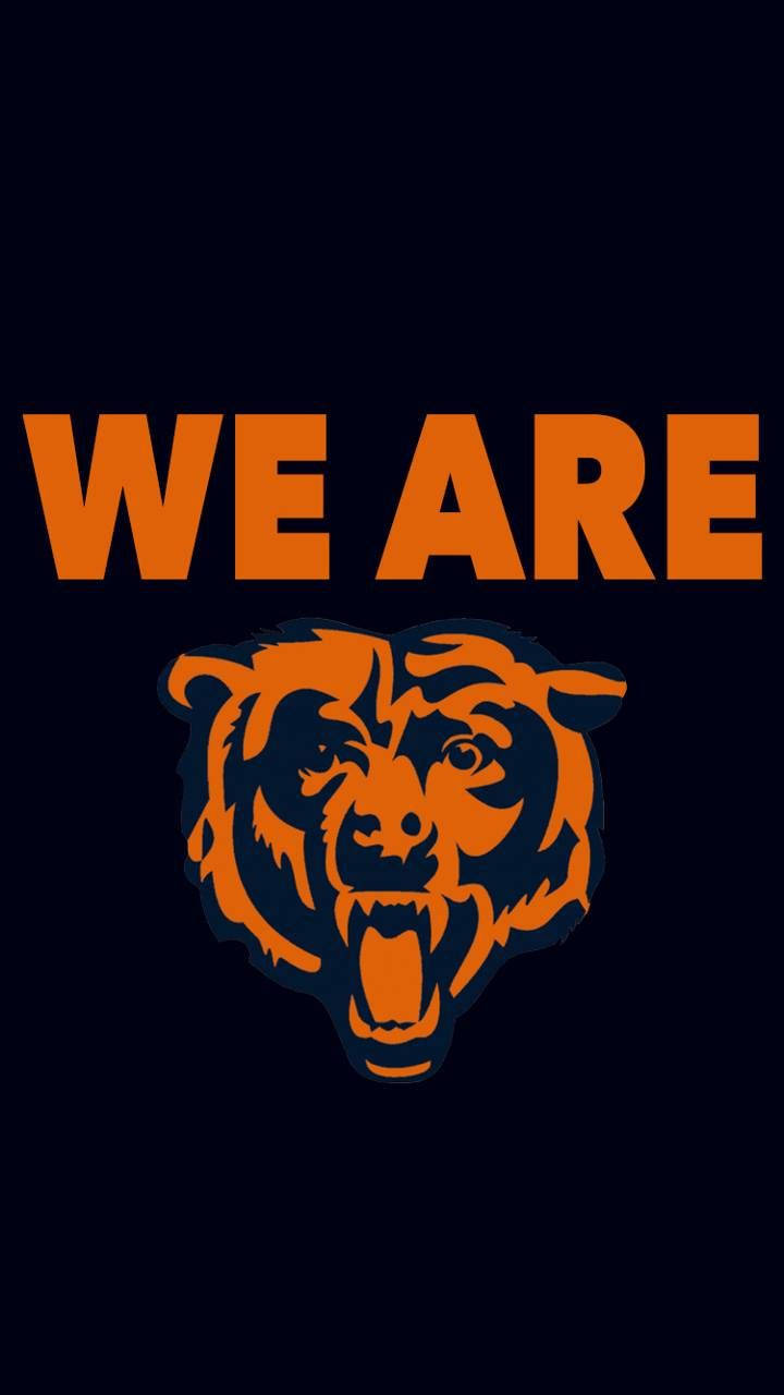 Cool Bears Logo Wallpapers