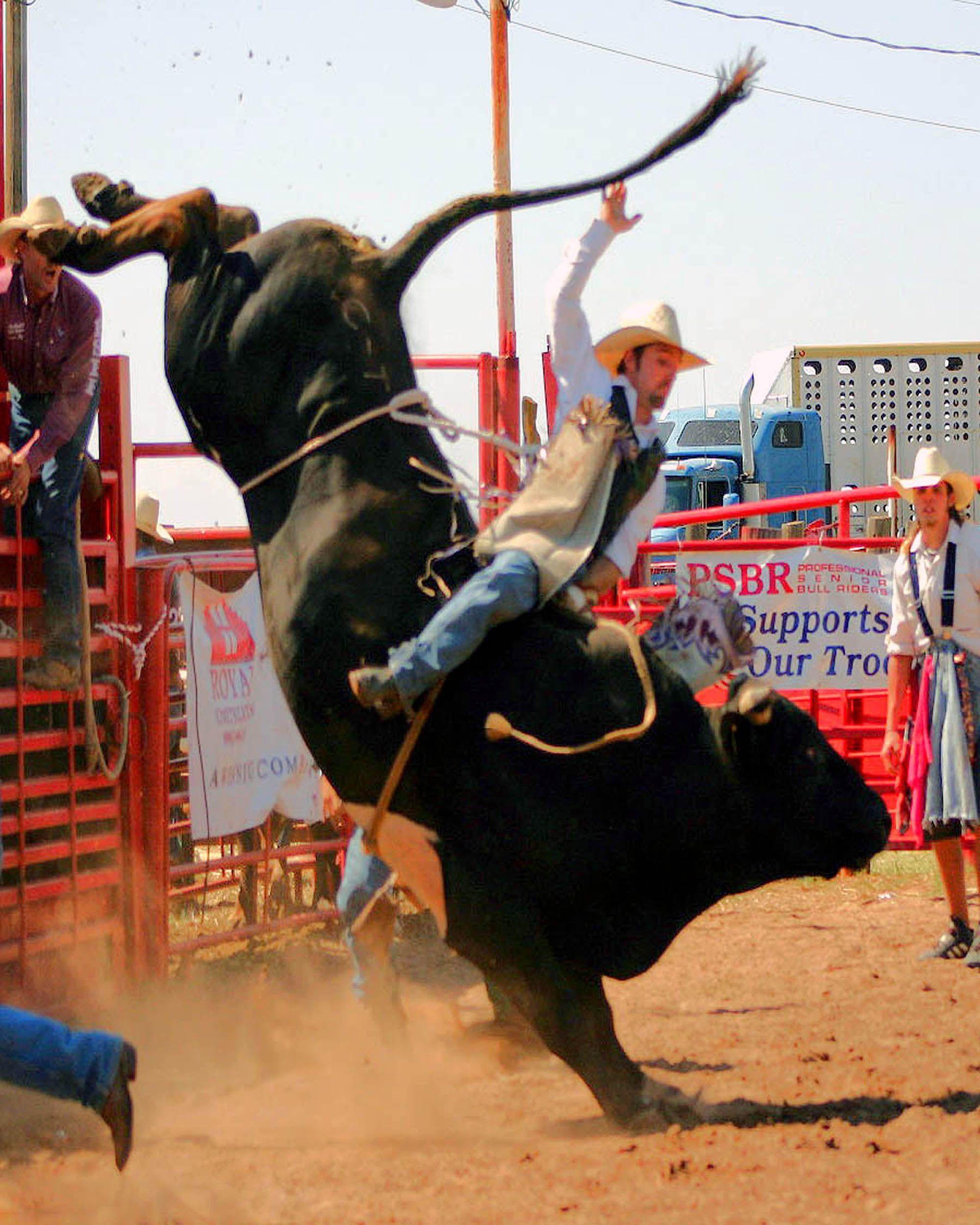 Cool Bull Riding Wallpapers