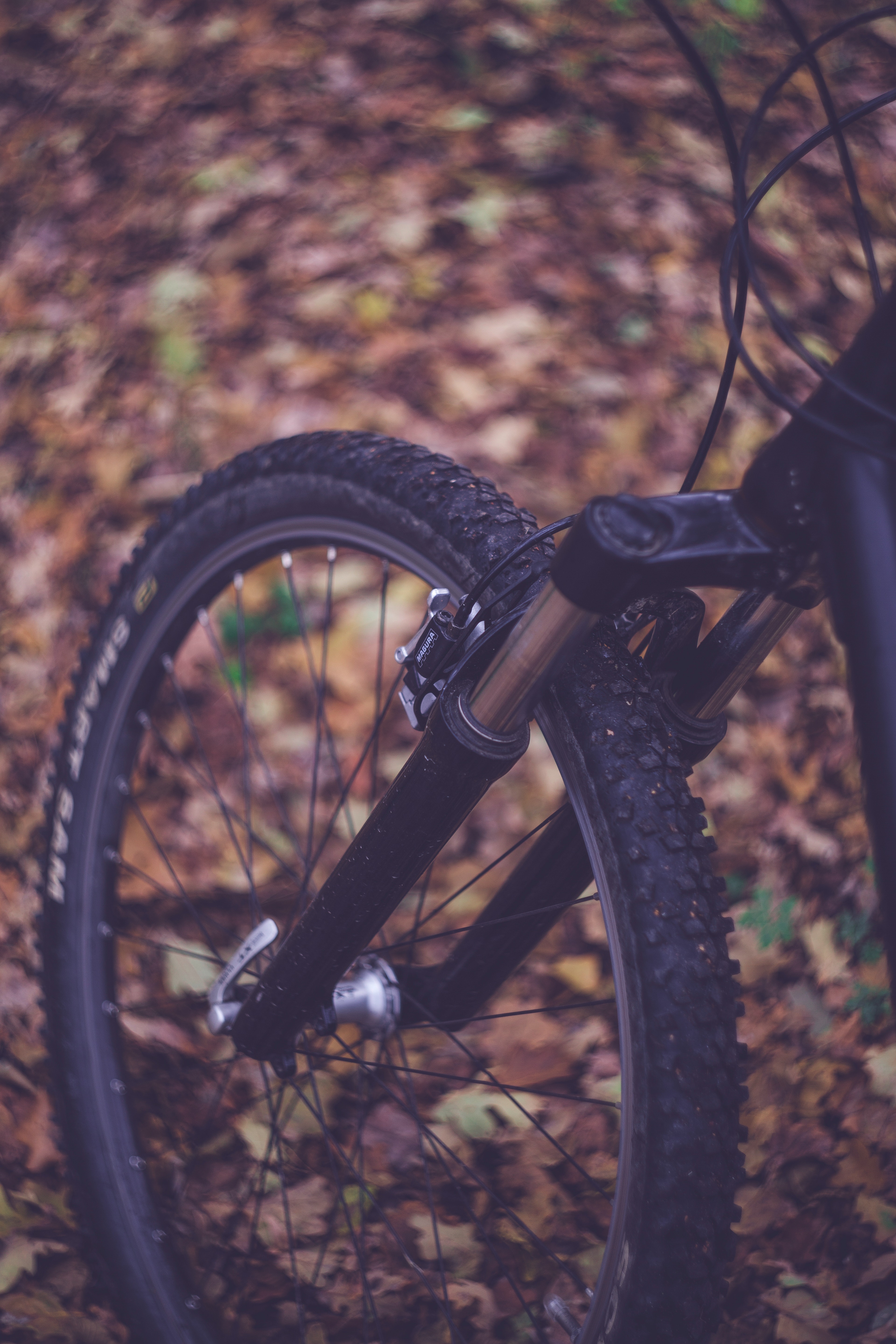 Cool Mountain Bike Wallpapers