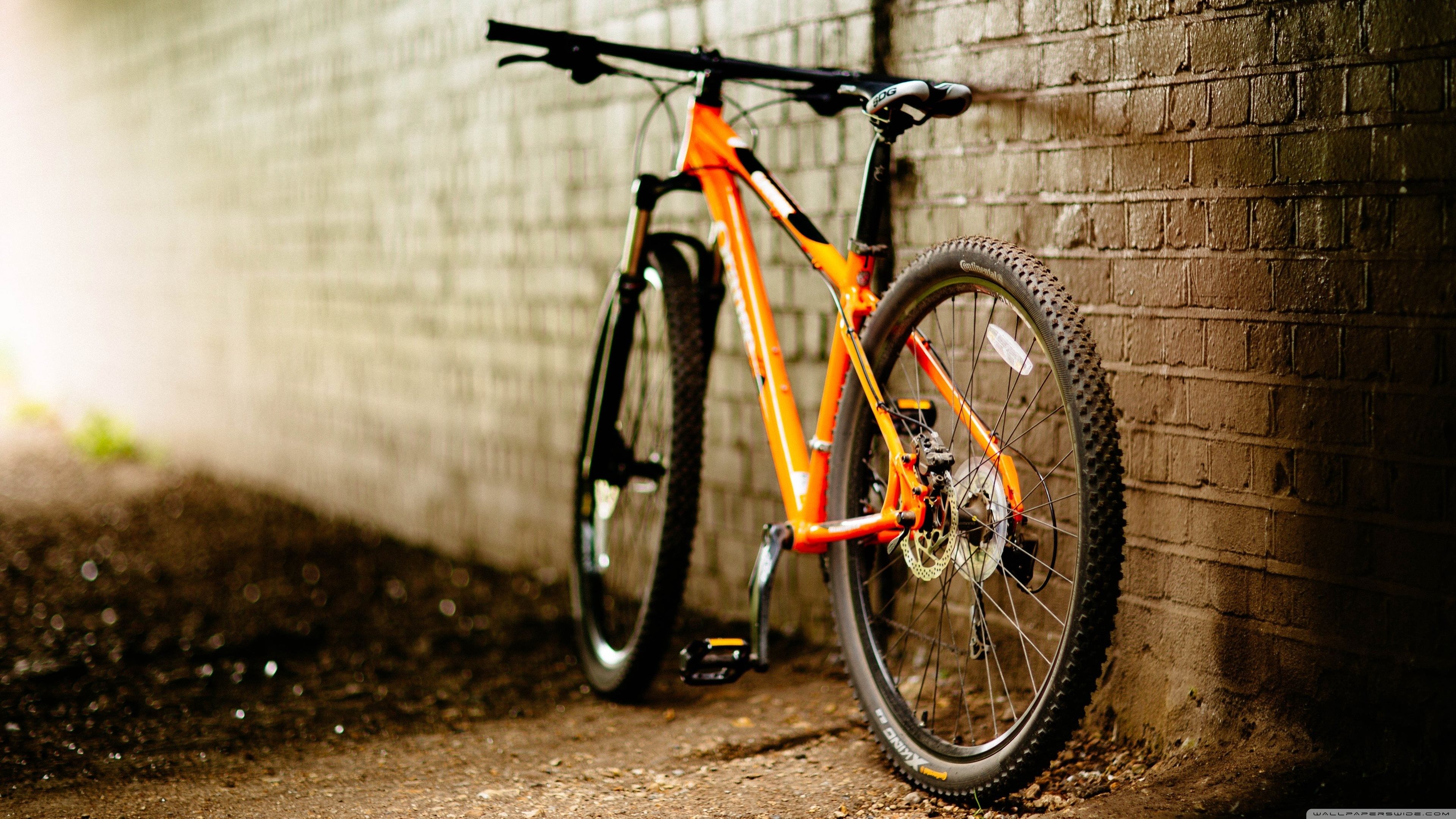 Cool Mountain Bike Wallpapers