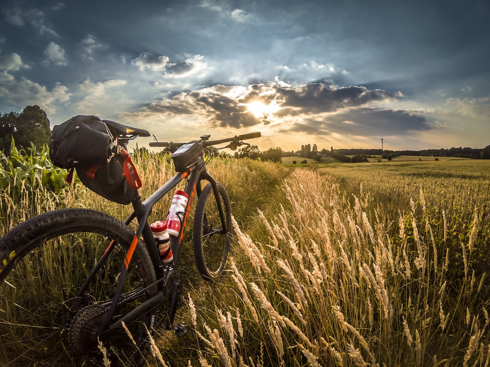 Cool Mountain Bike Wallpapers