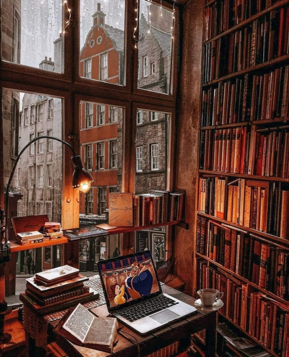 Cozy Library Wallpapers