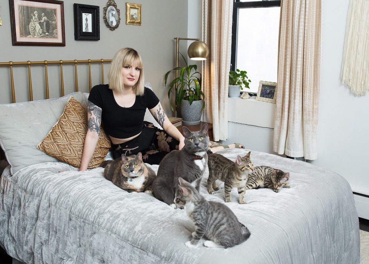Crazy Cat Lady Wallpapers