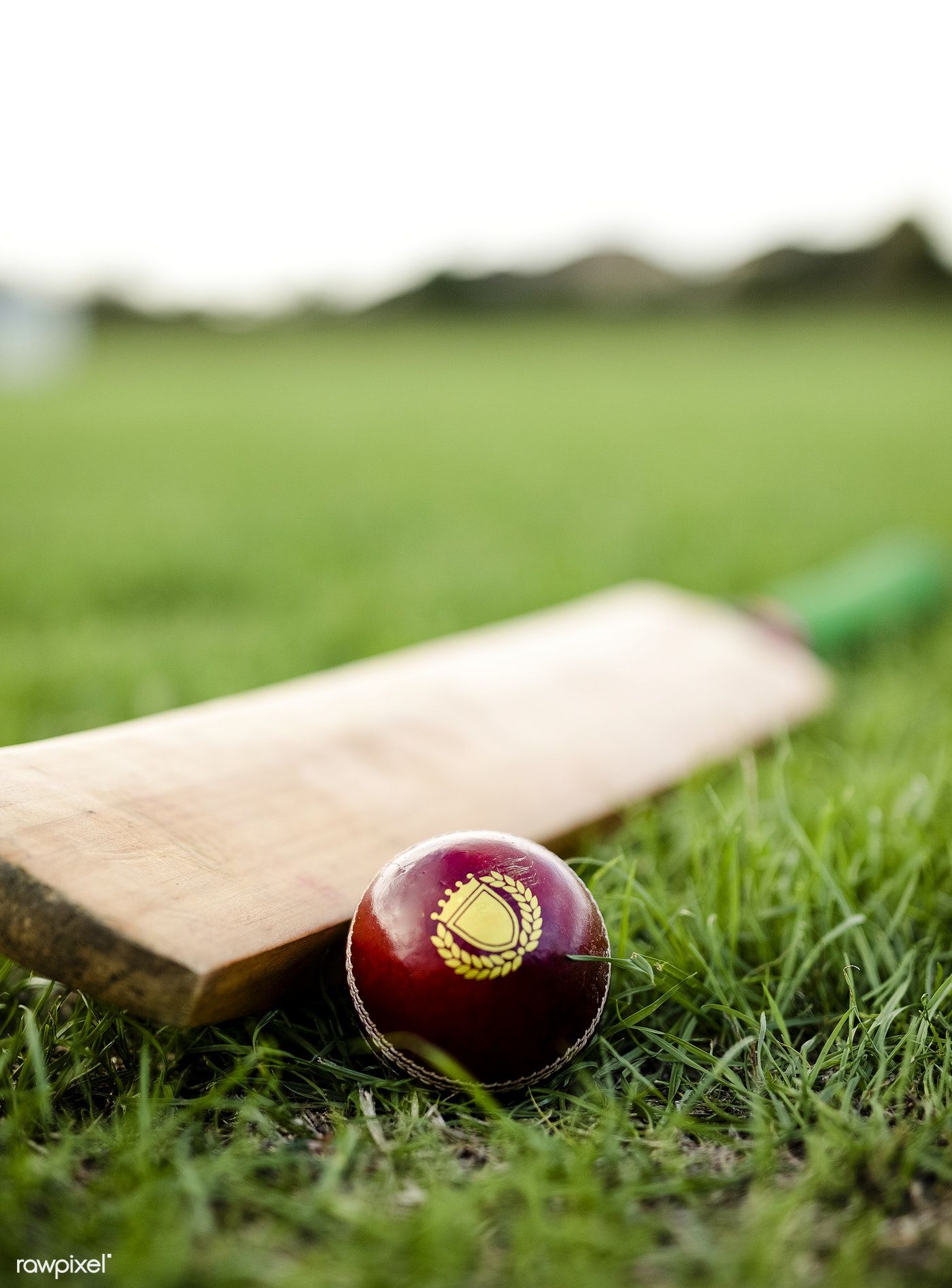 Cricket Paddle And Ball Wallpapers