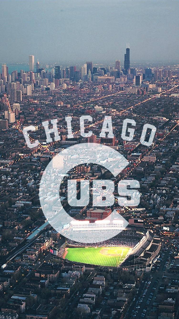 Cubs Wallpapers