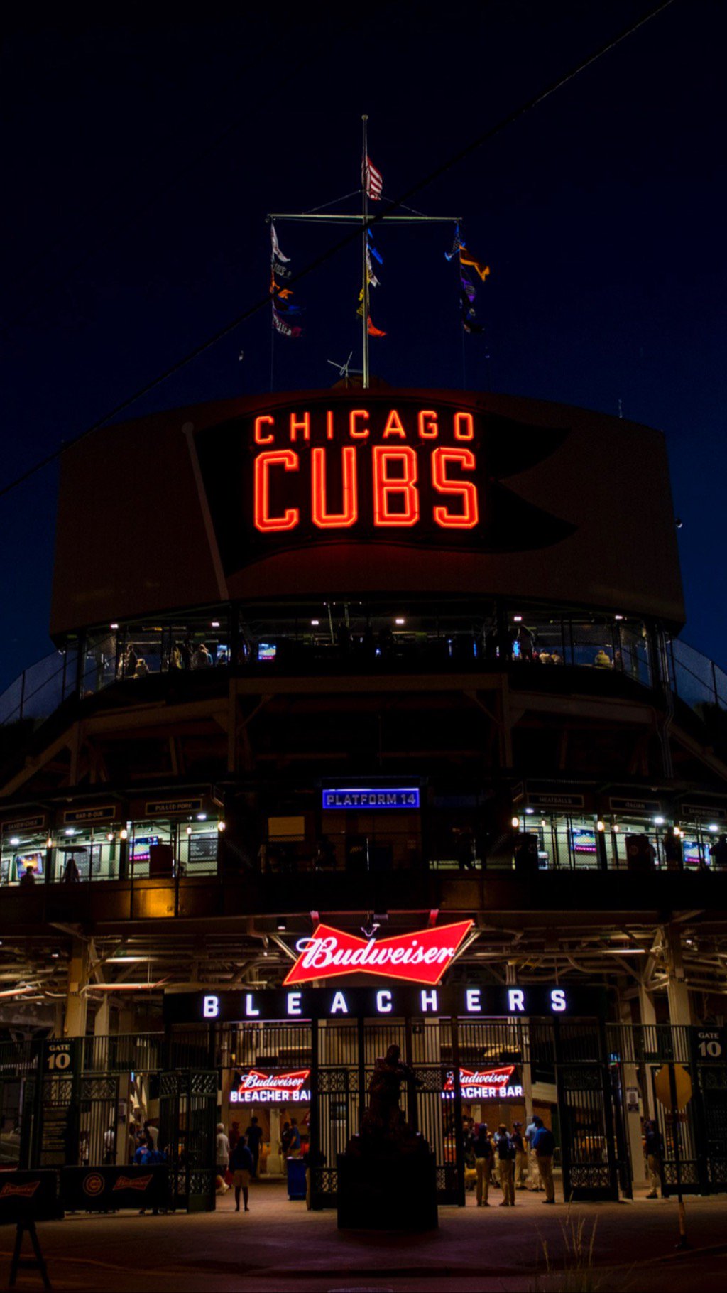 Cubs Wallpapers