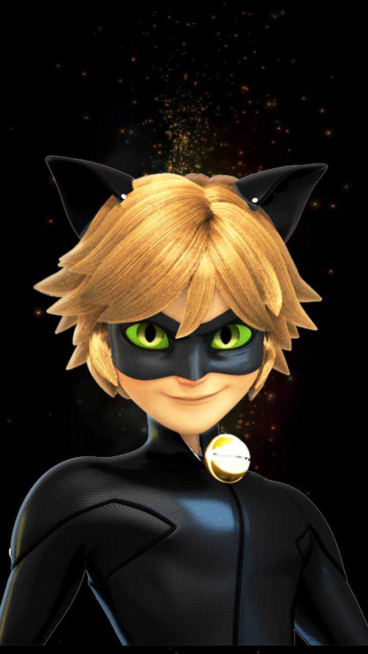 Cute Cat Noir Wallpapers