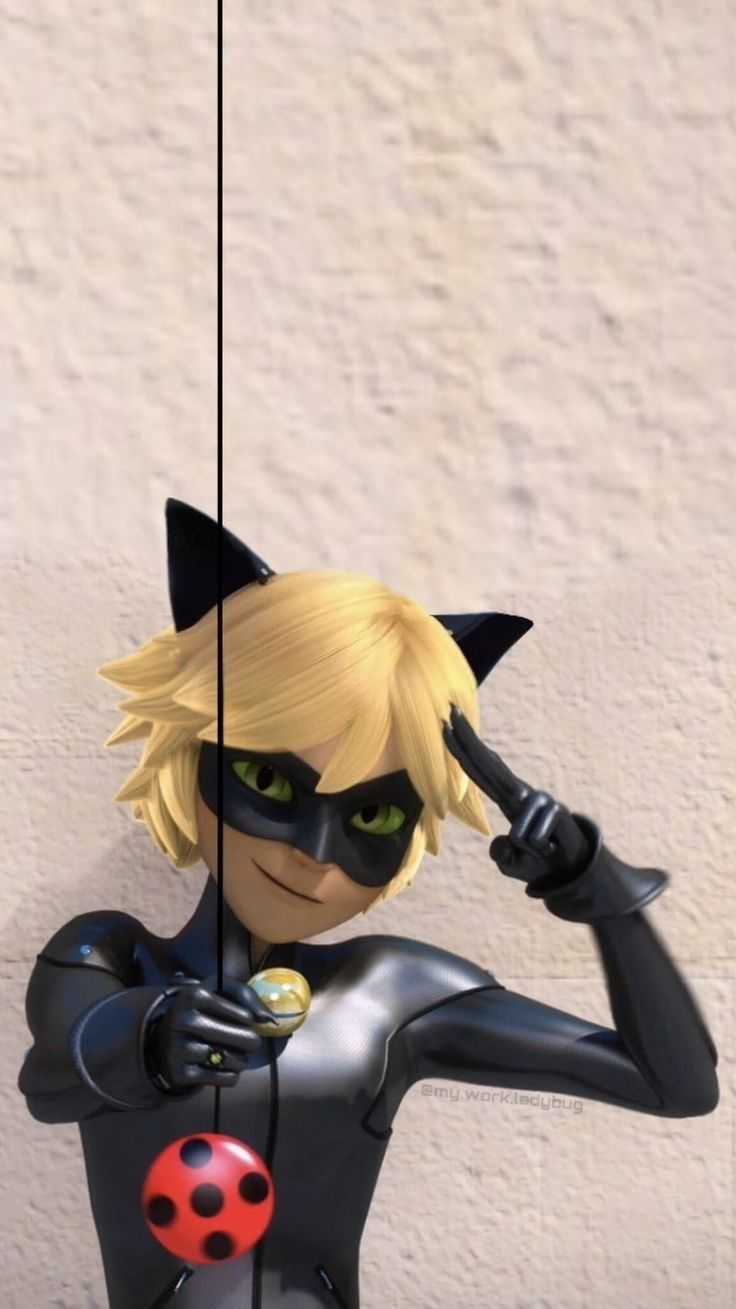 Cute Cat Noir Wallpapers