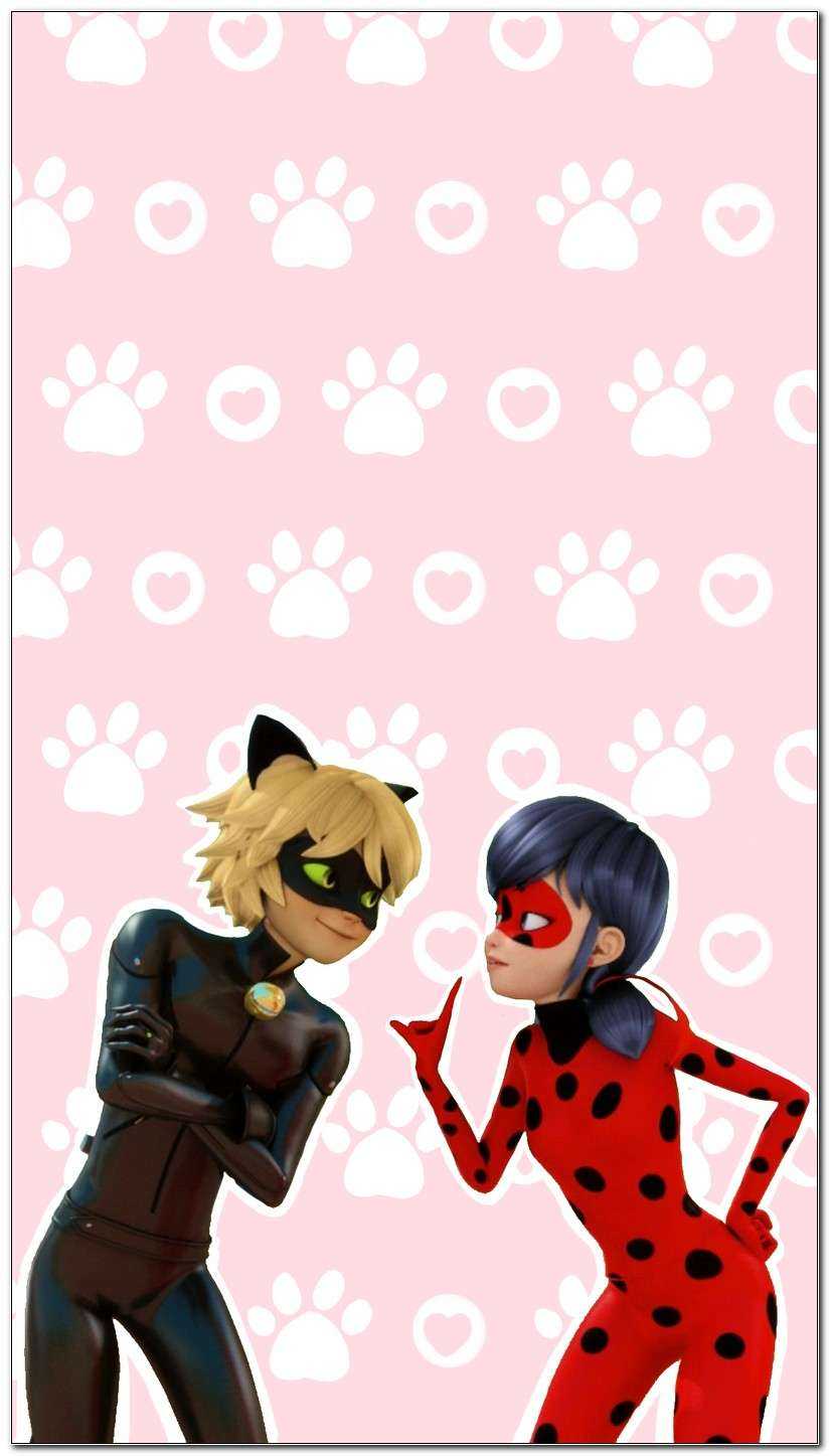 Cute Cat Noir Wallpapers