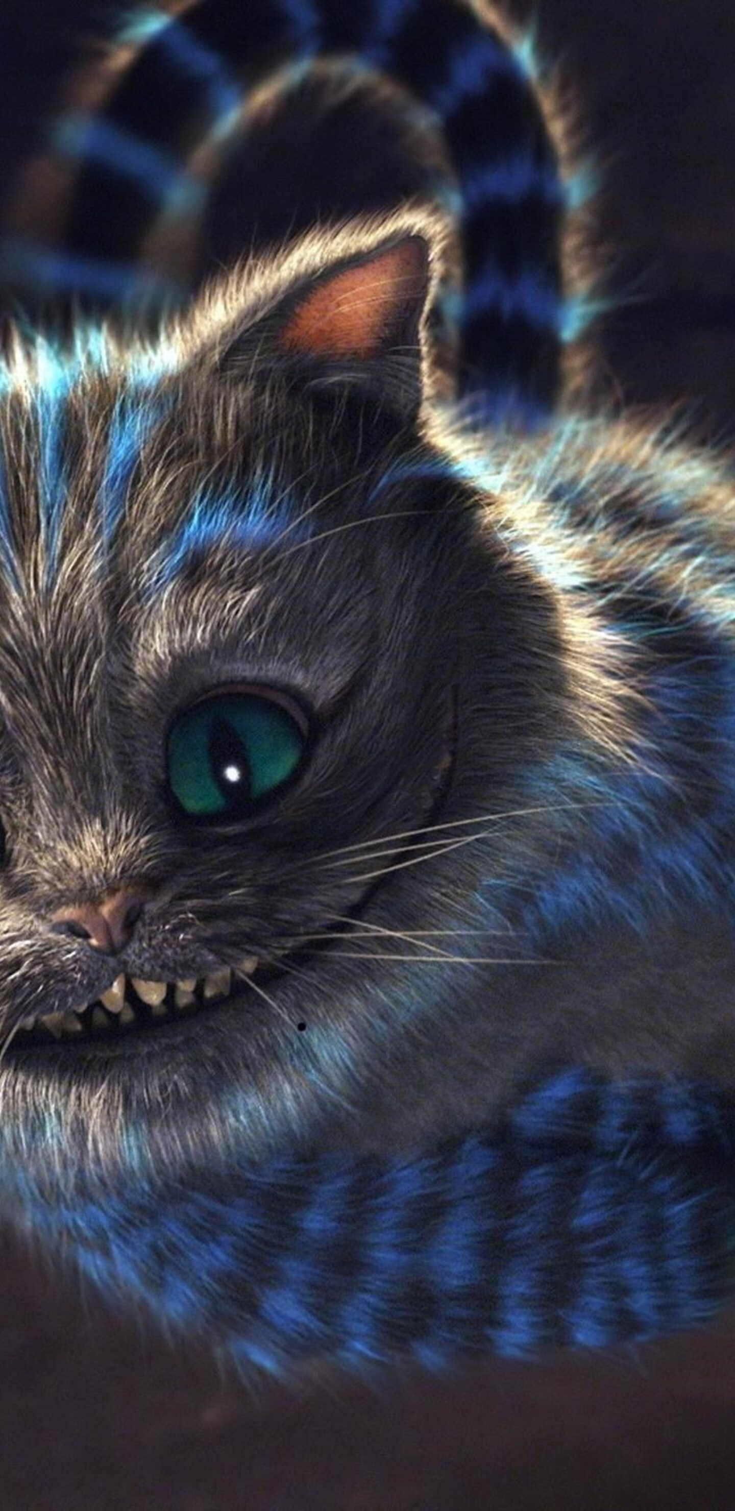 Cute Cheshire Cat Wallpapers