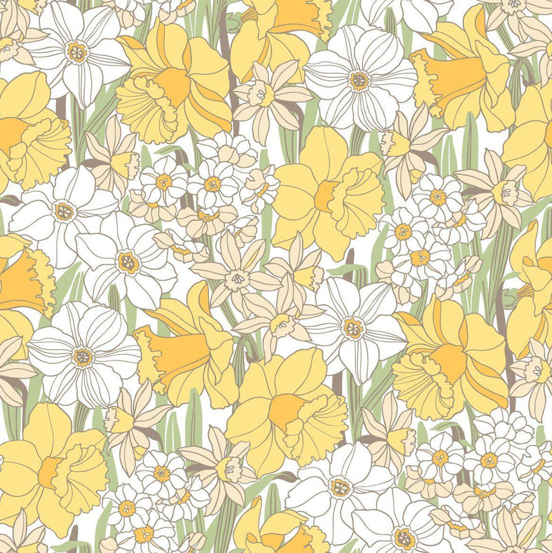 Daffodill Wallpapers