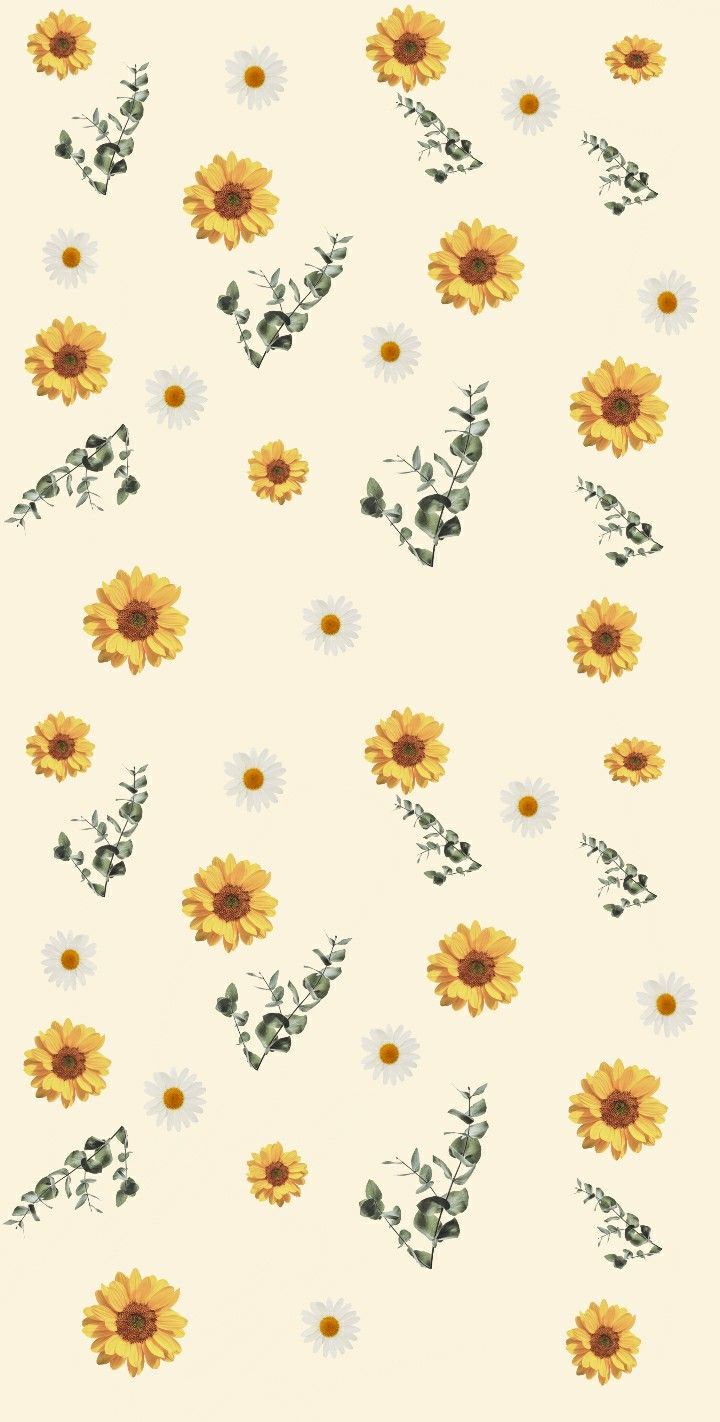 Daisy And Sunflower Wallpapers