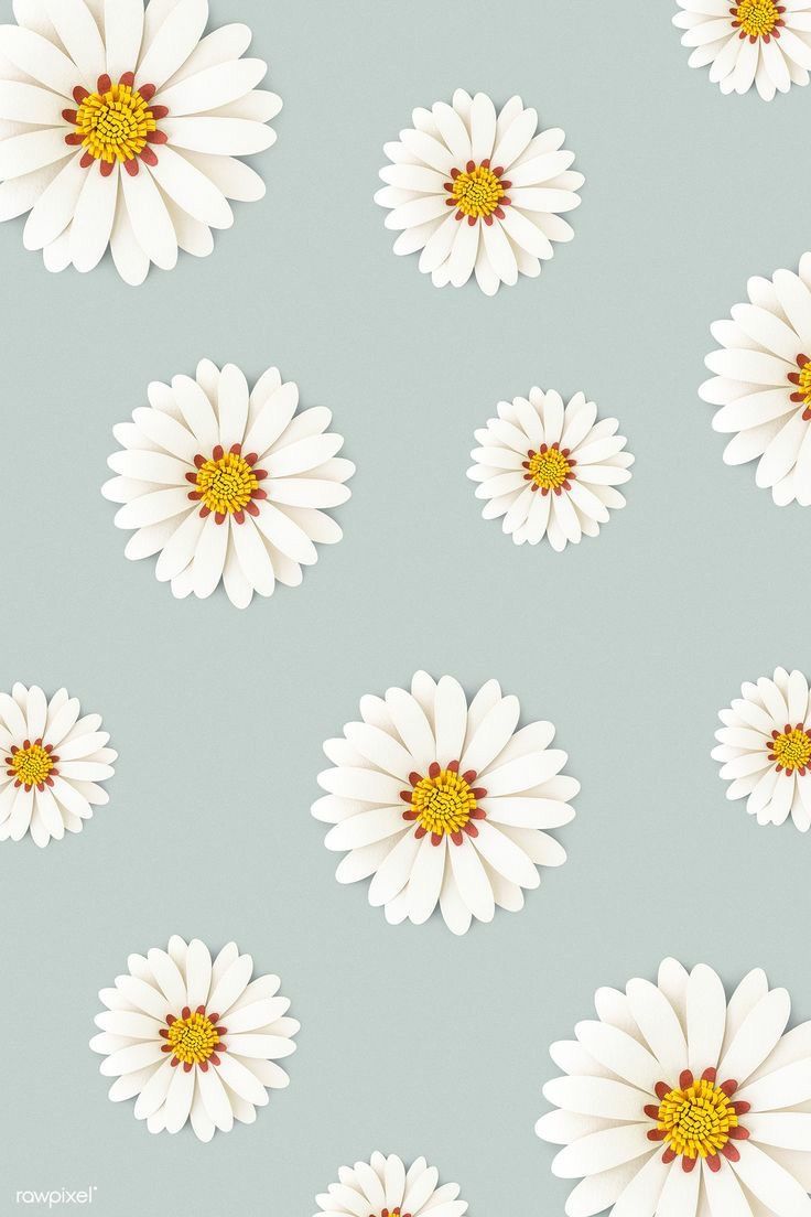 Daisy And Sunflower Wallpapers