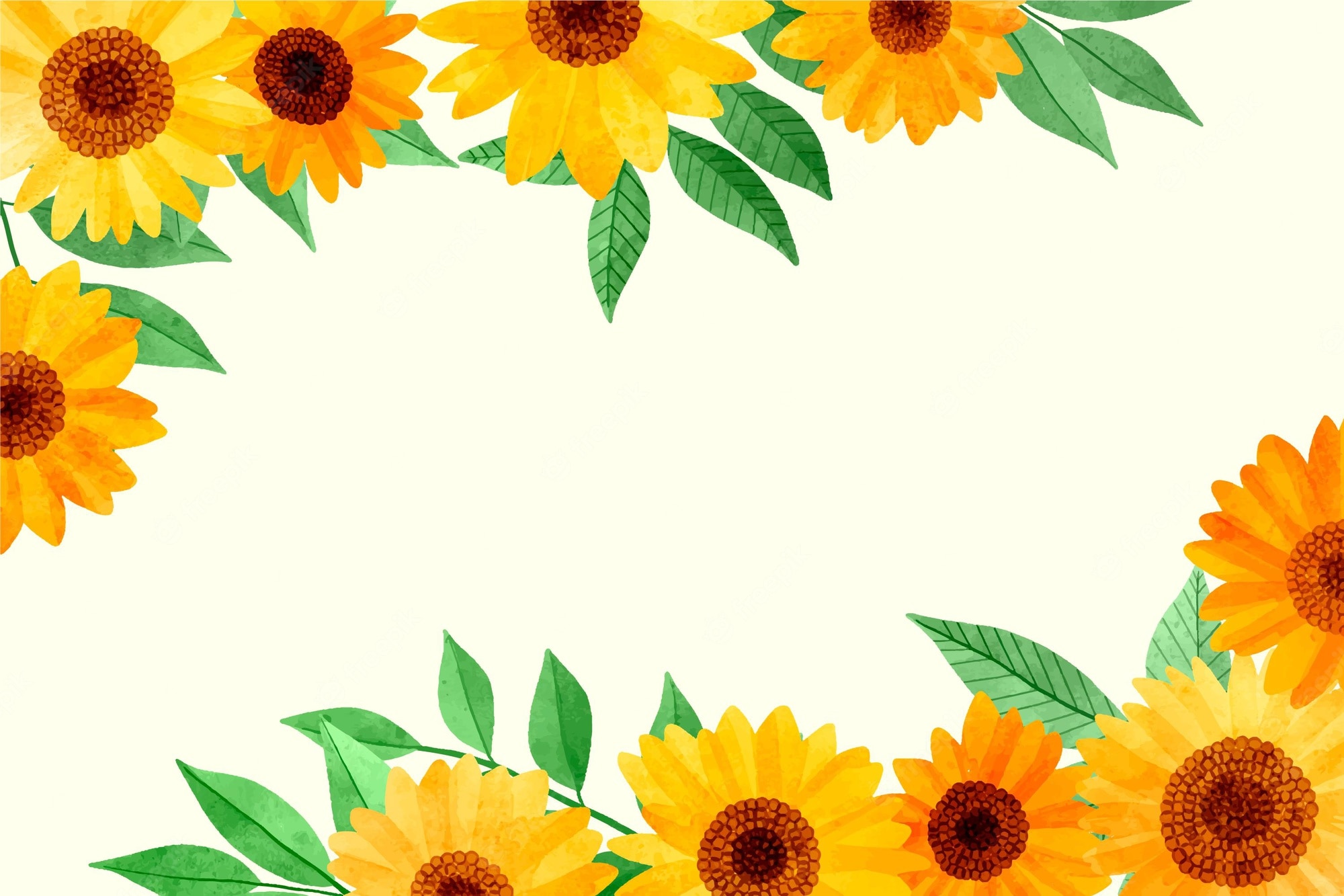 Daisy And Sunflower Wallpapers