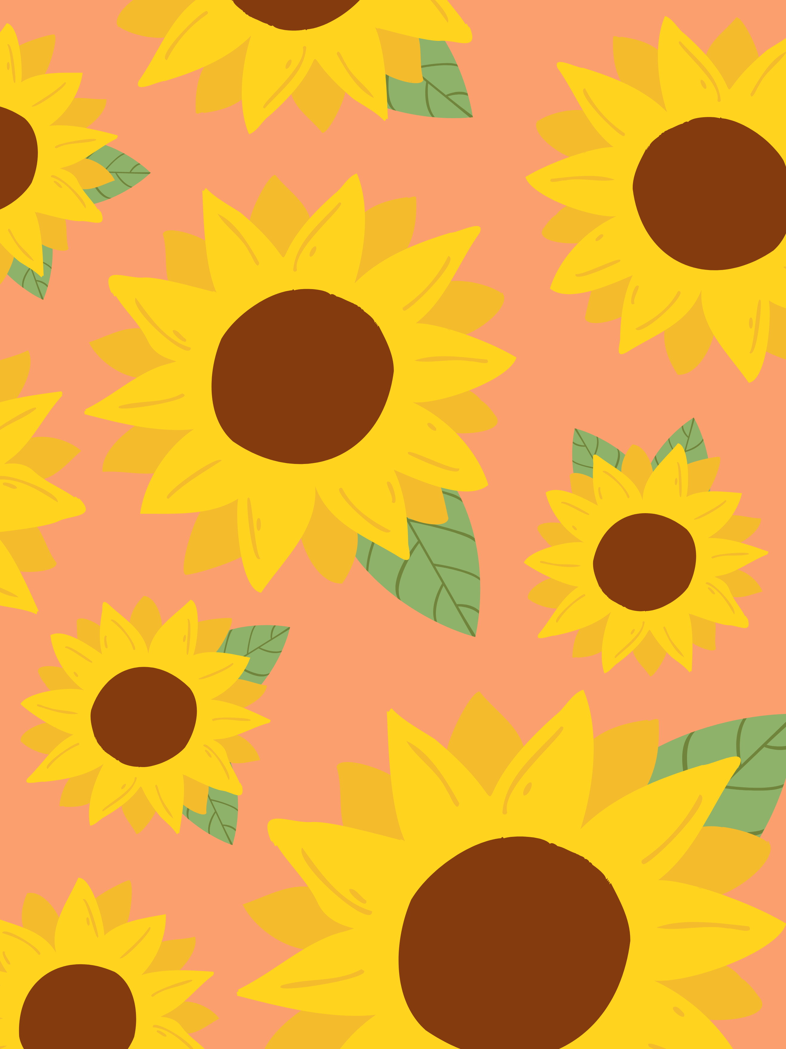 Daisy And Sunflower Wallpapers