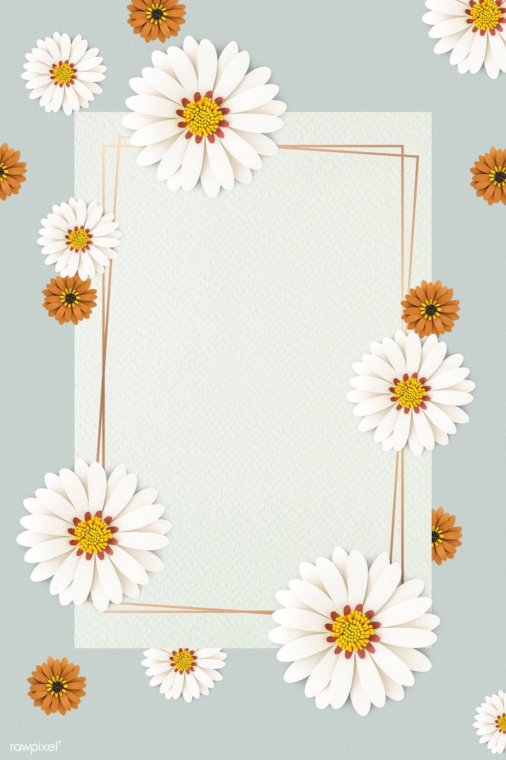 Daisy Backdrop Wallpapers