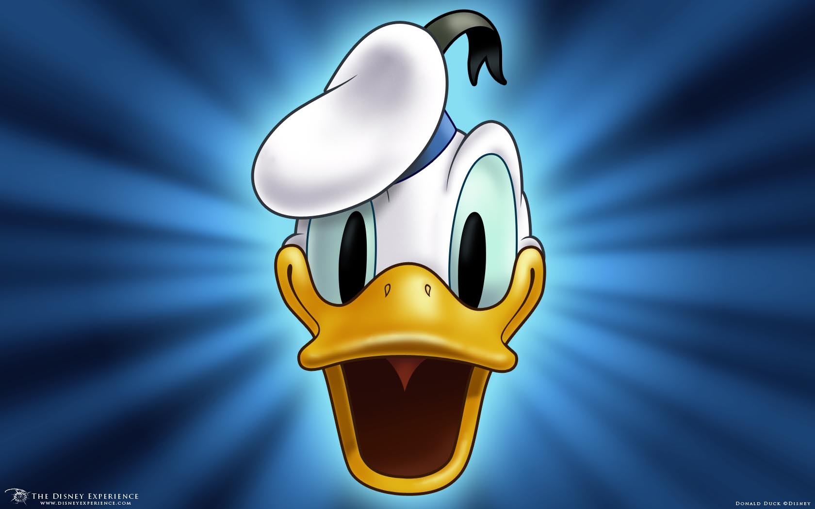 Daisy Duck Wallpapers