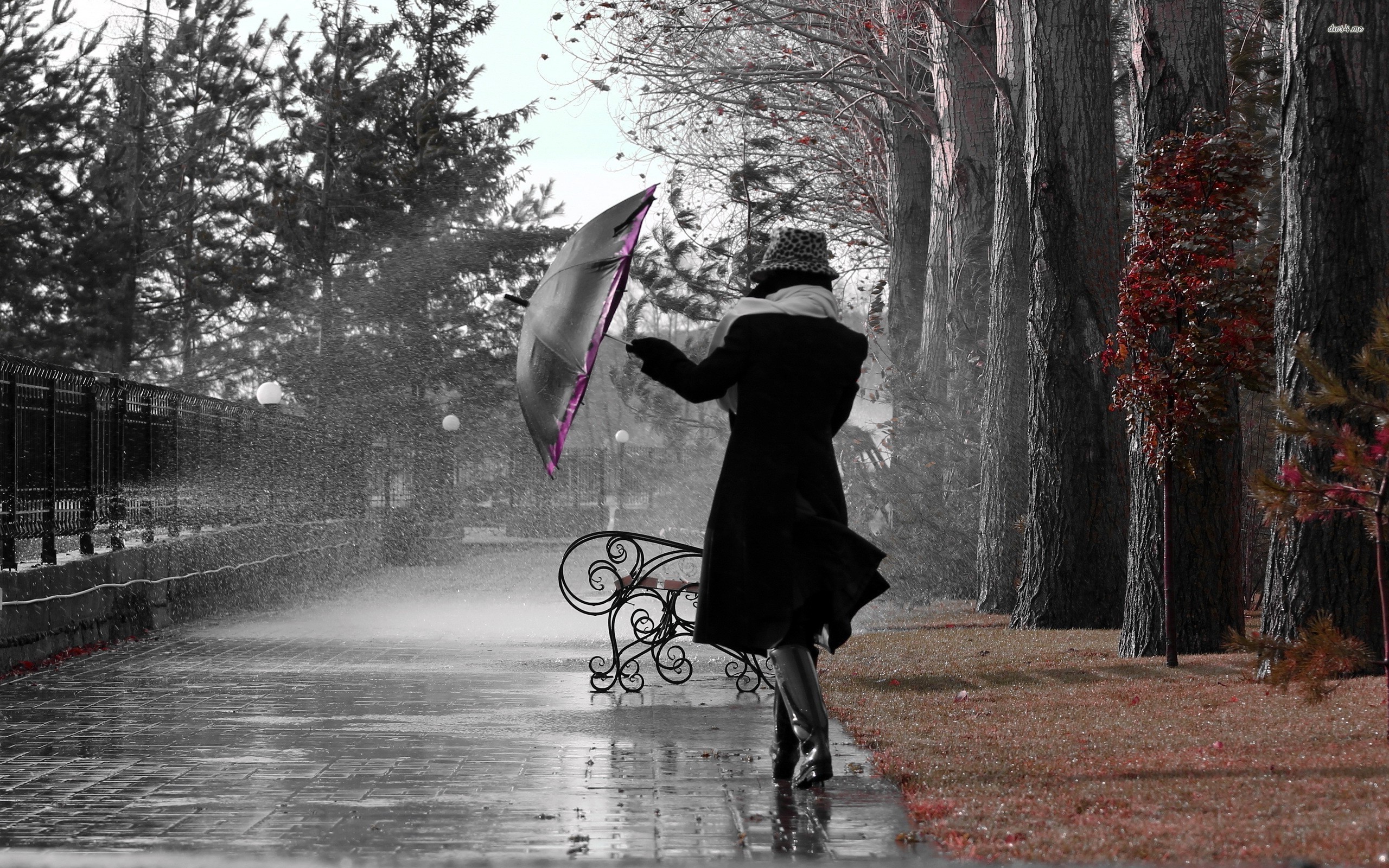 Dancing In The Rain Images Wallpapers