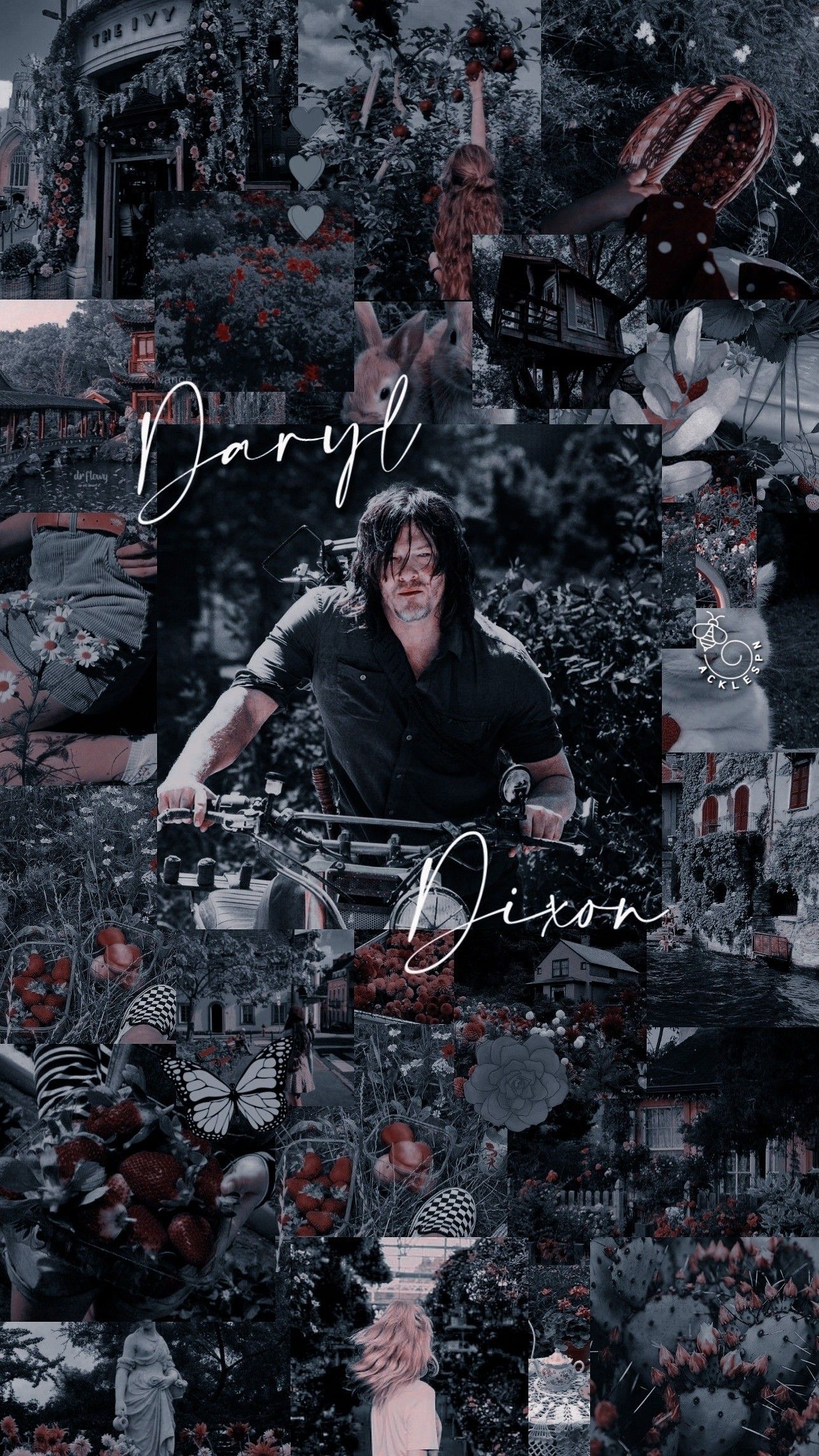 Daryl The Walking Dead Wallpapers