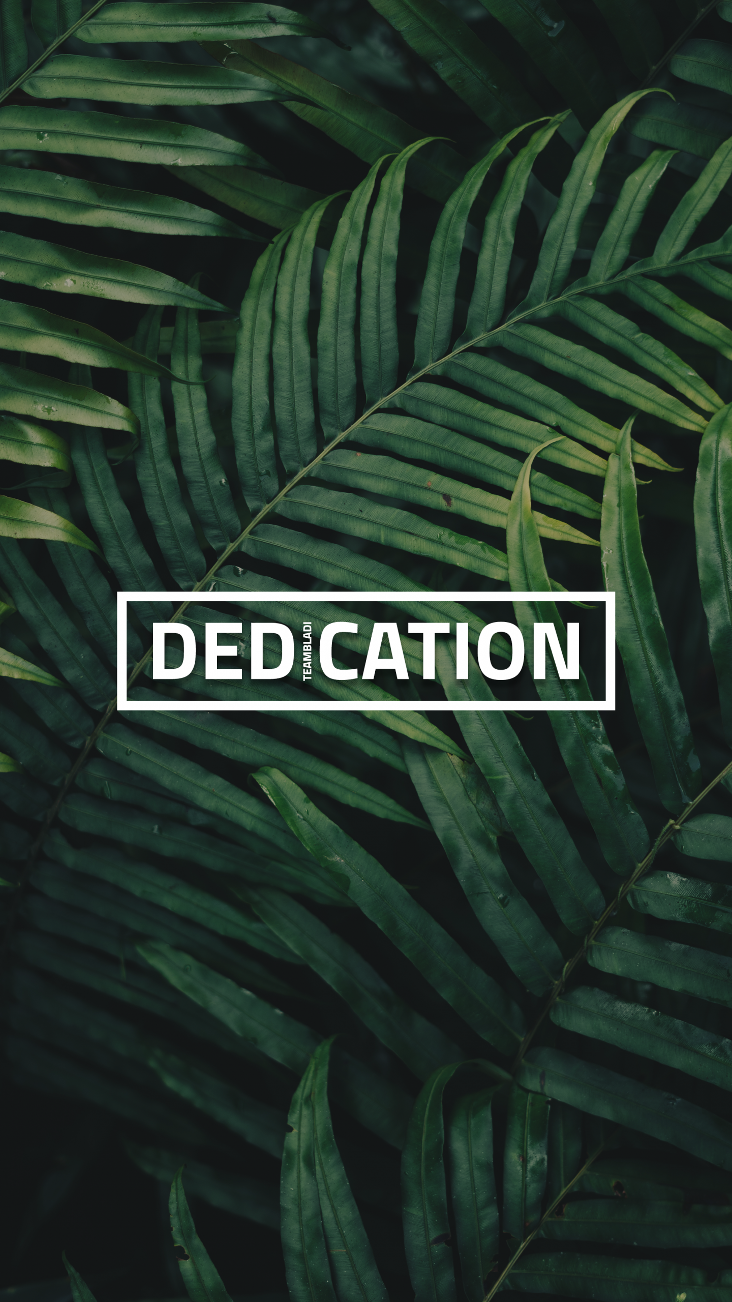 Dedication Wallpapers