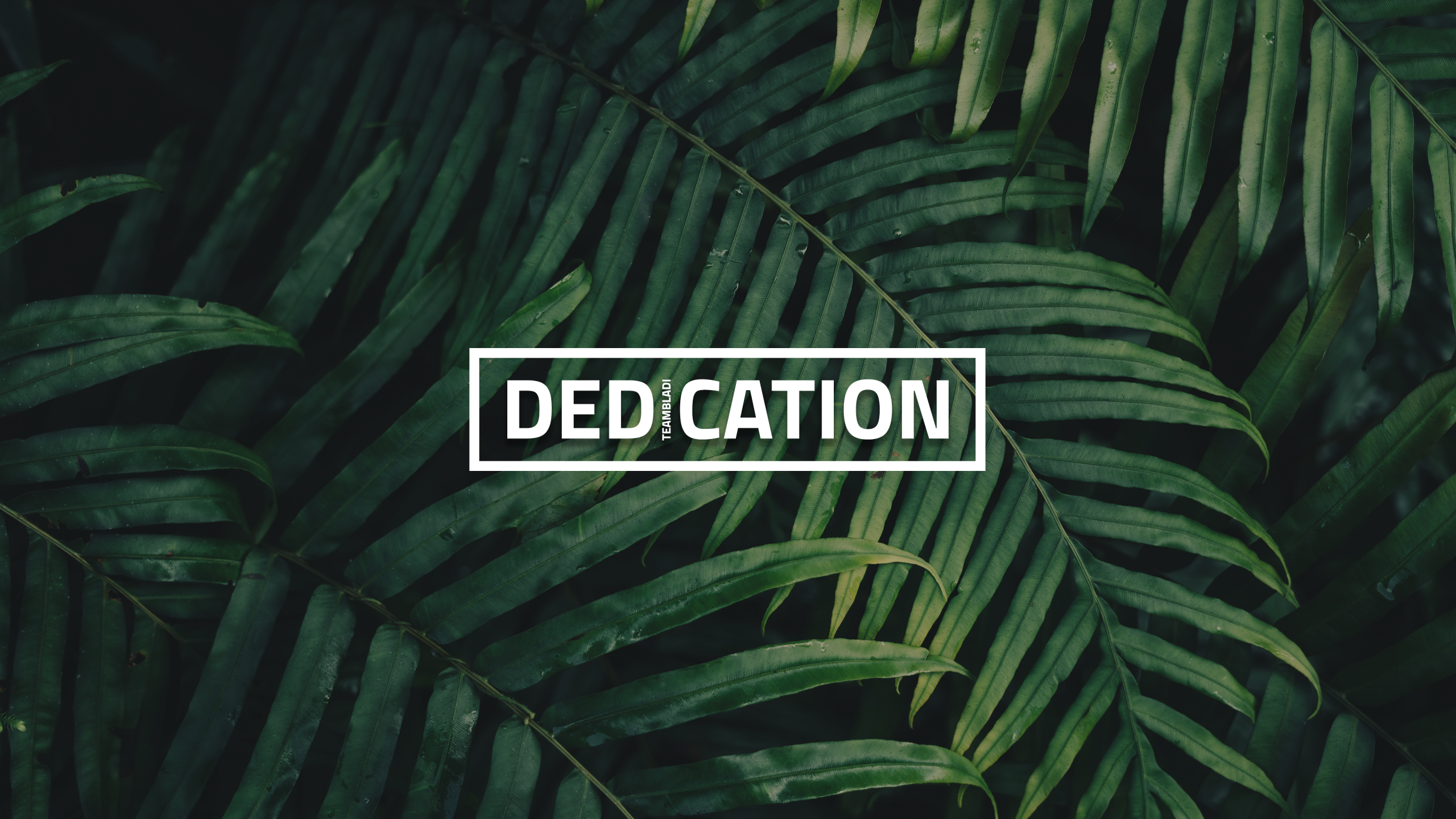 Dedication Wallpapers