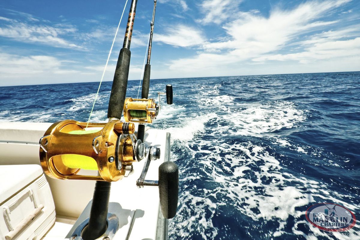 Deep Sea Fishing Wallpapers