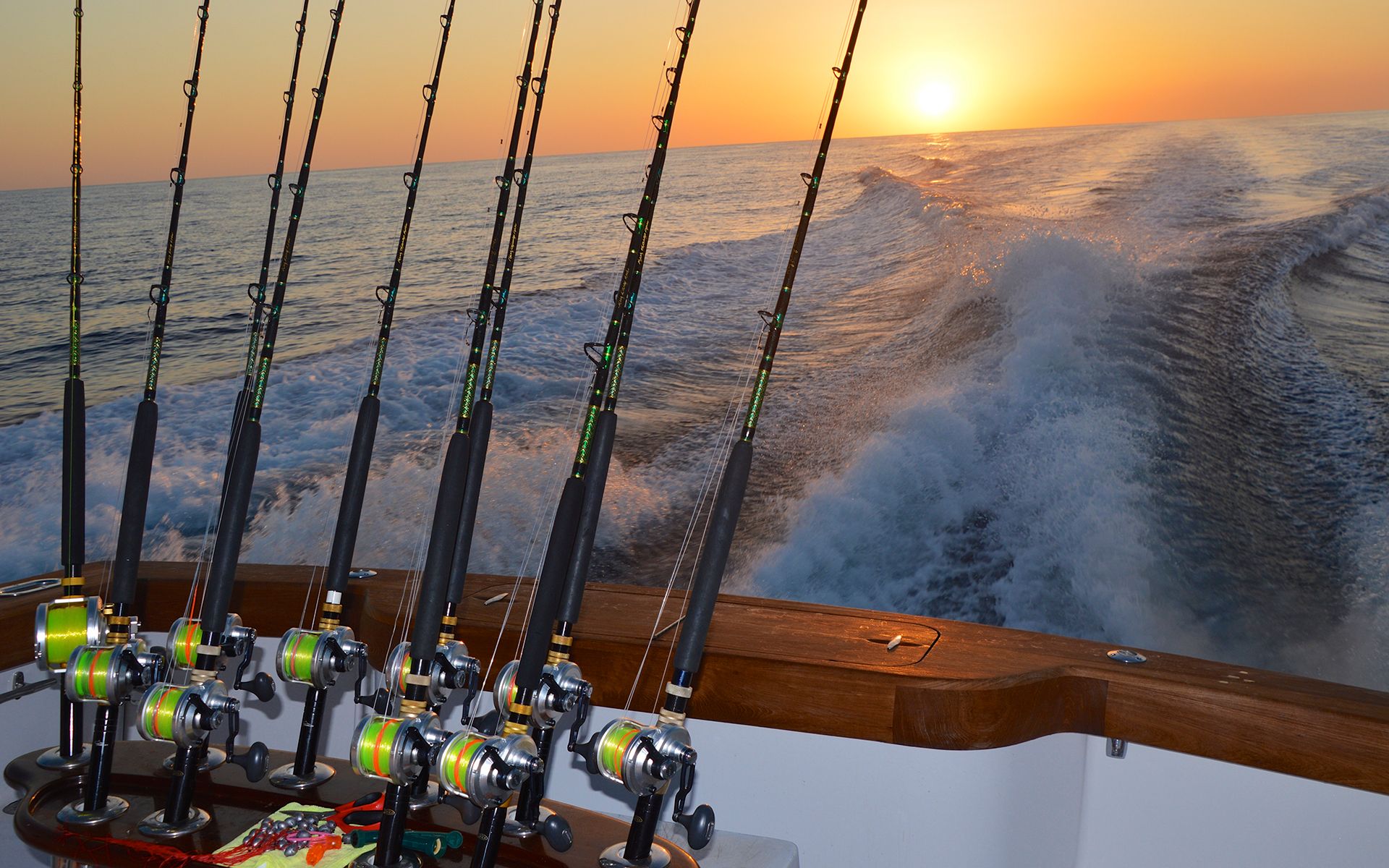 Deep Sea Fishing Wallpapers