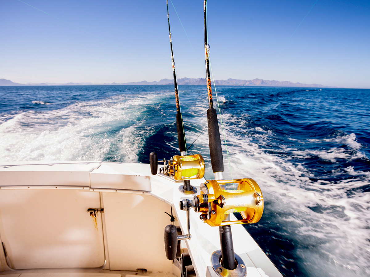 Deep Sea Fishing Wallpapers