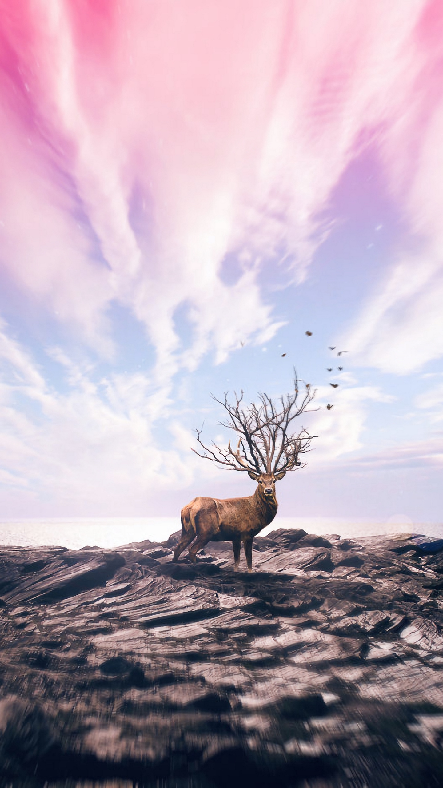 Deer Art Wallpapers