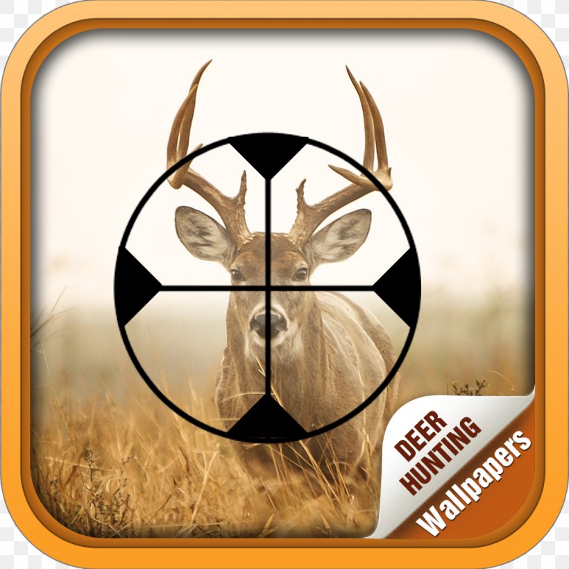 Deer Hunting Wallpapers