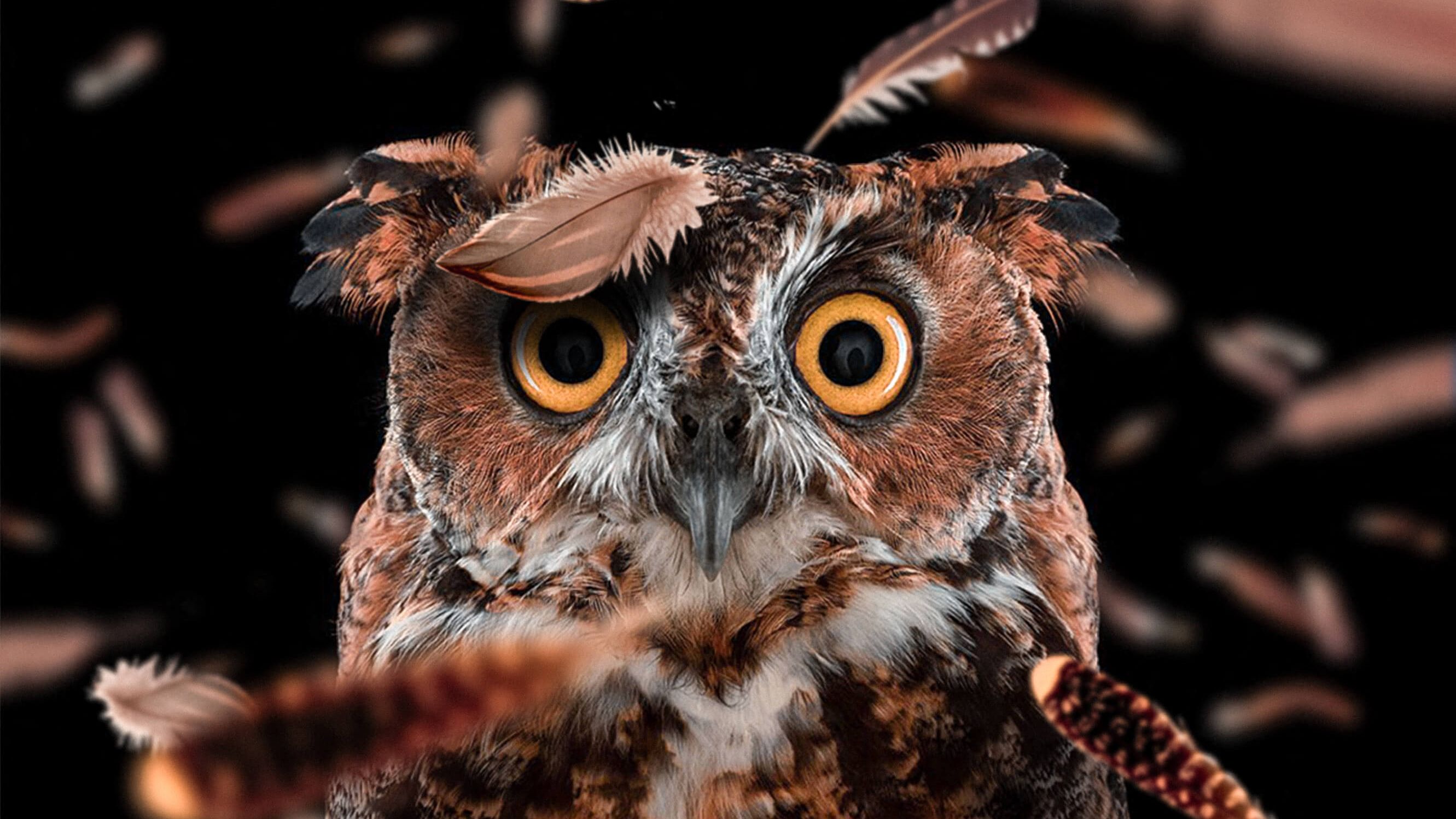 Demonic Evil Owl Wallpapers