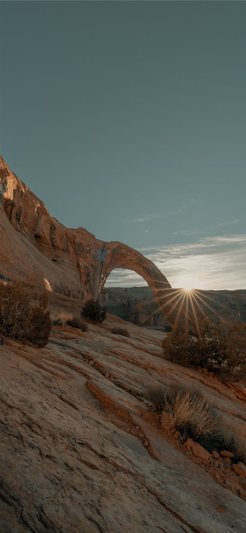 Desert Iphone Wallpapers