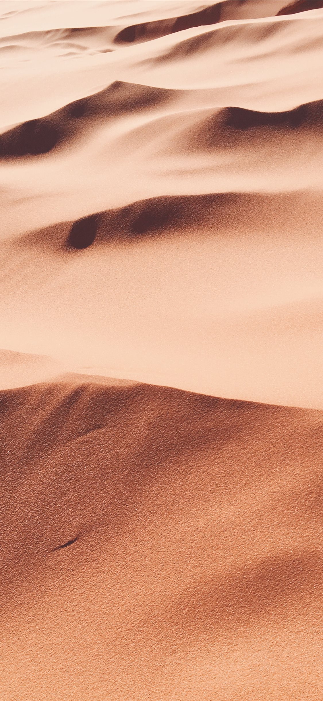 Desert Iphone Wallpapers