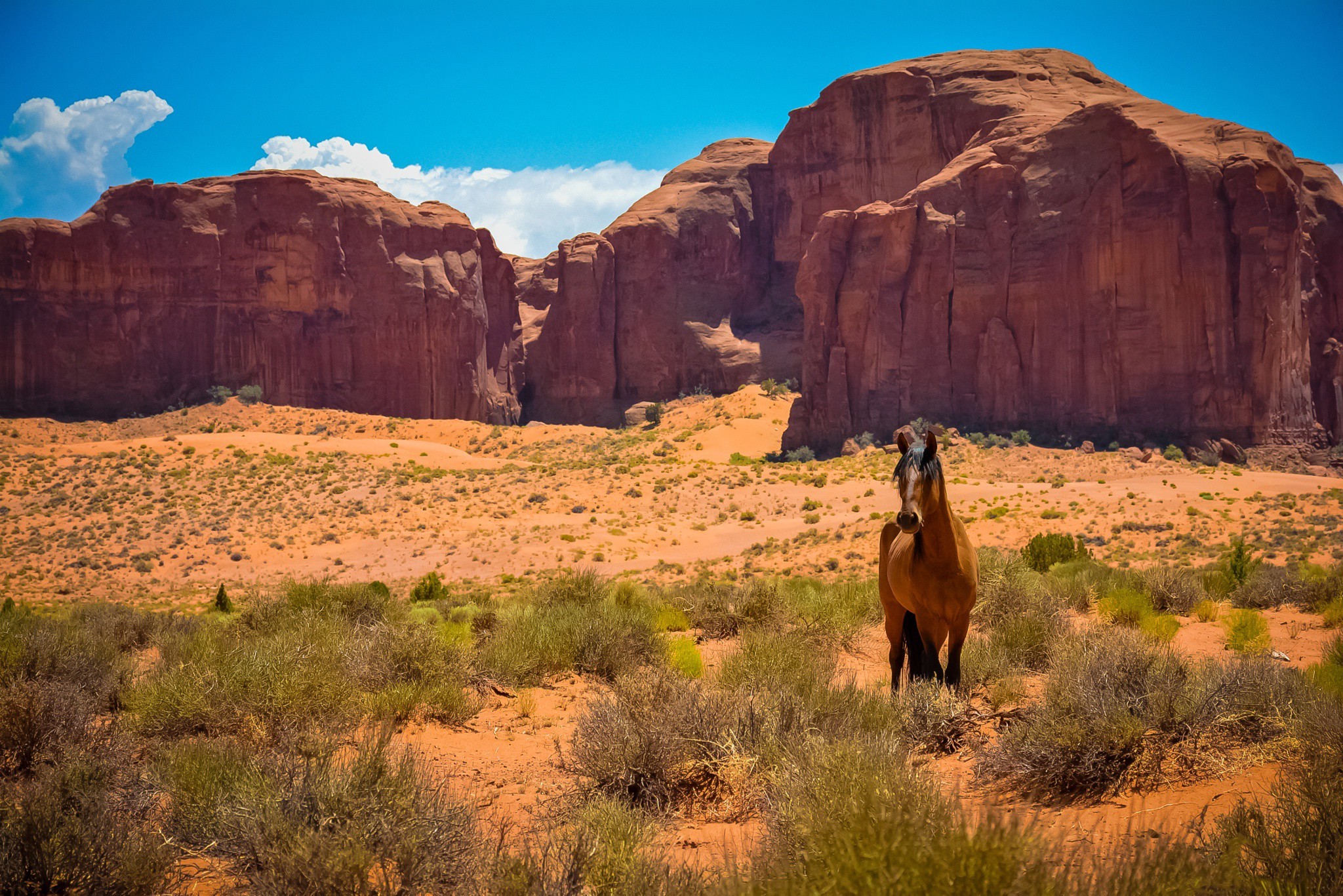 Desert Landscape Hd Wallpapers