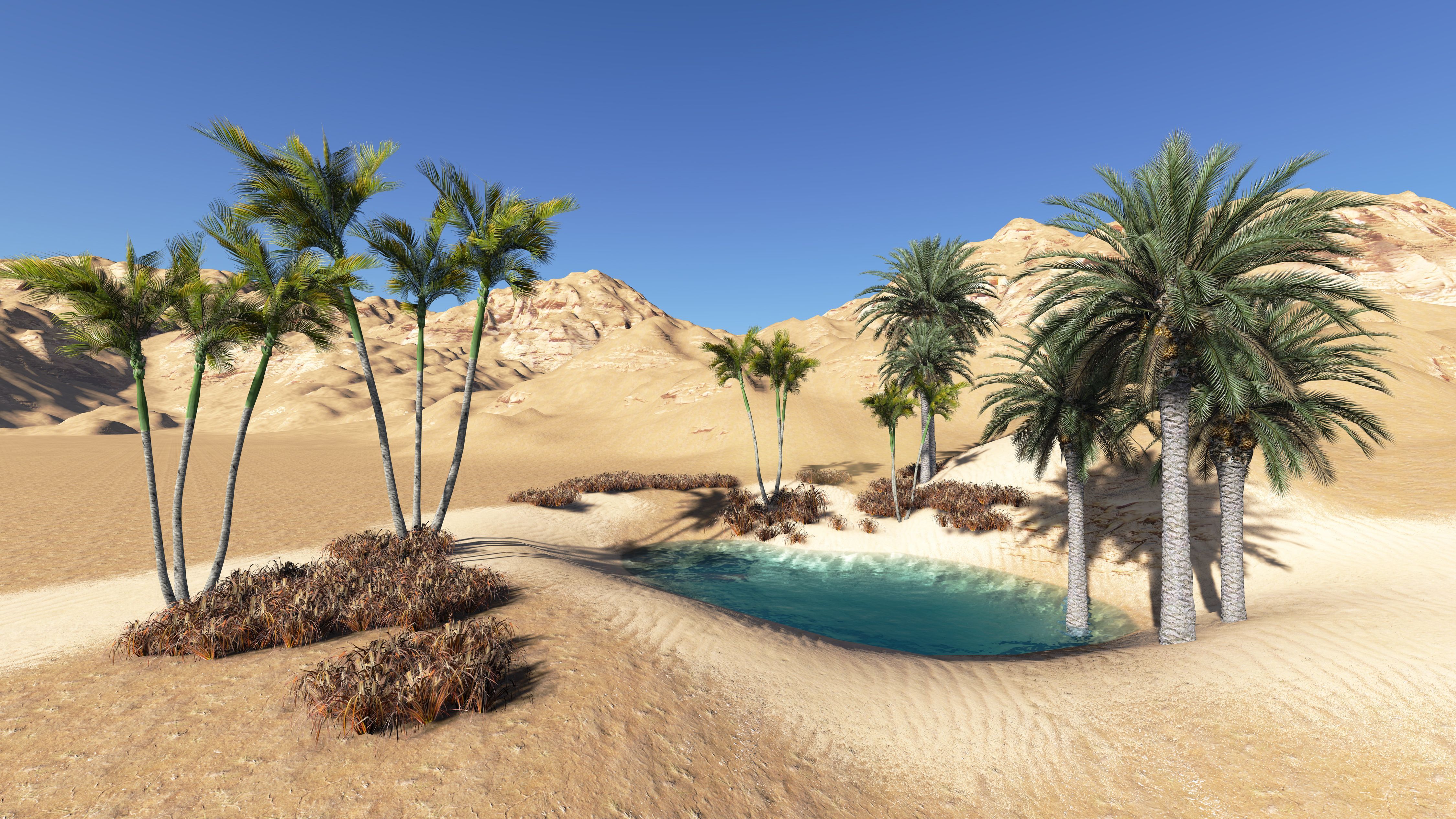 Desert Oasis Wallpapers