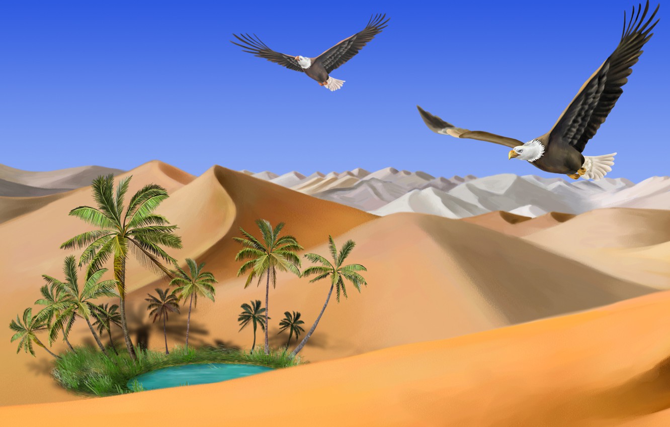 Desert Oasis Wallpapers