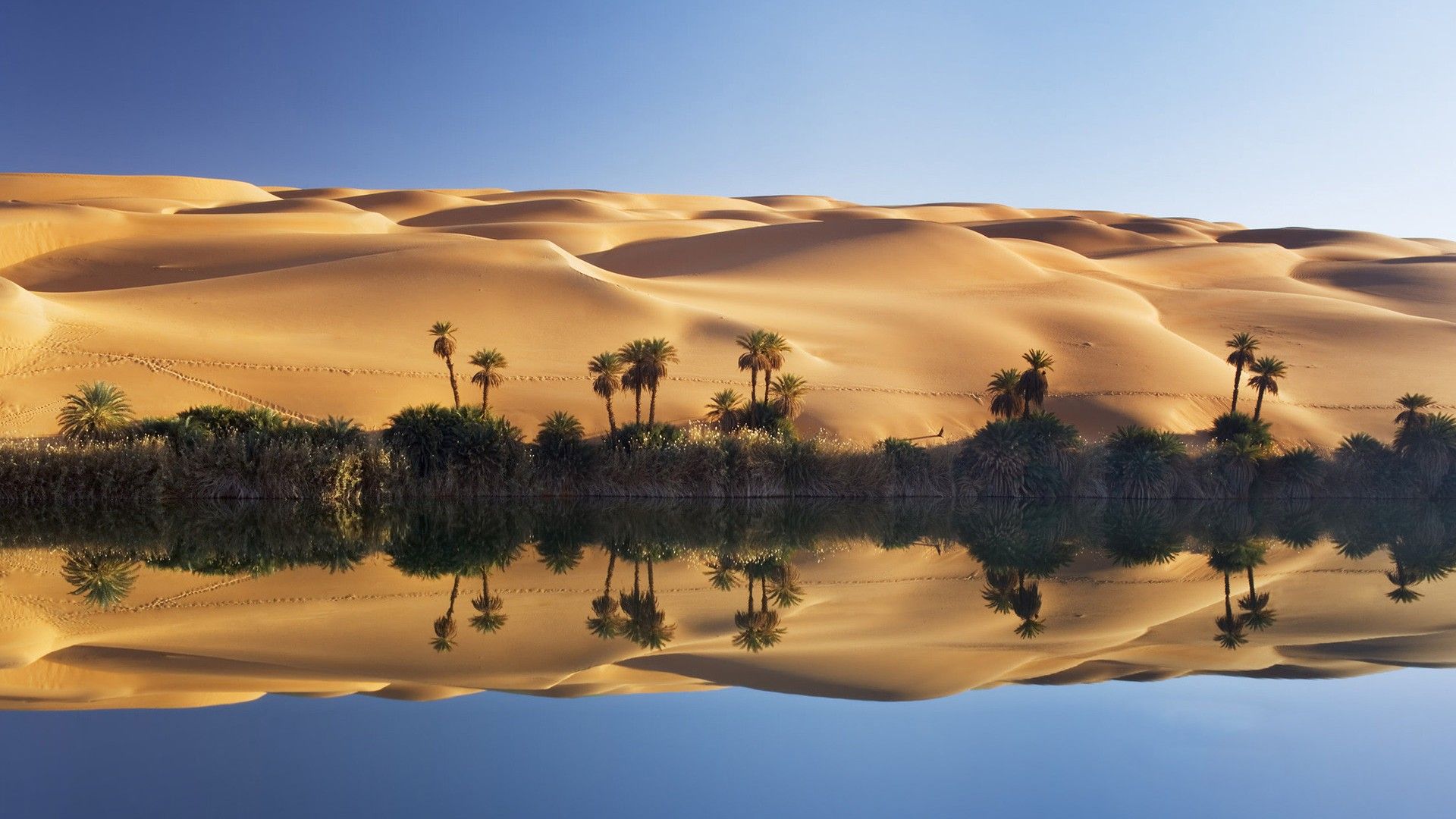 Desert Oasis Wallpapers