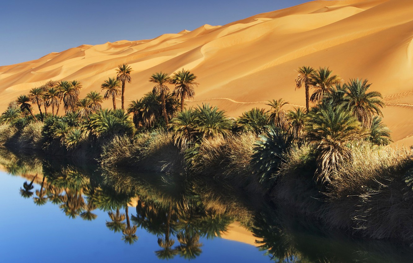 Desert Oasis Wallpapers