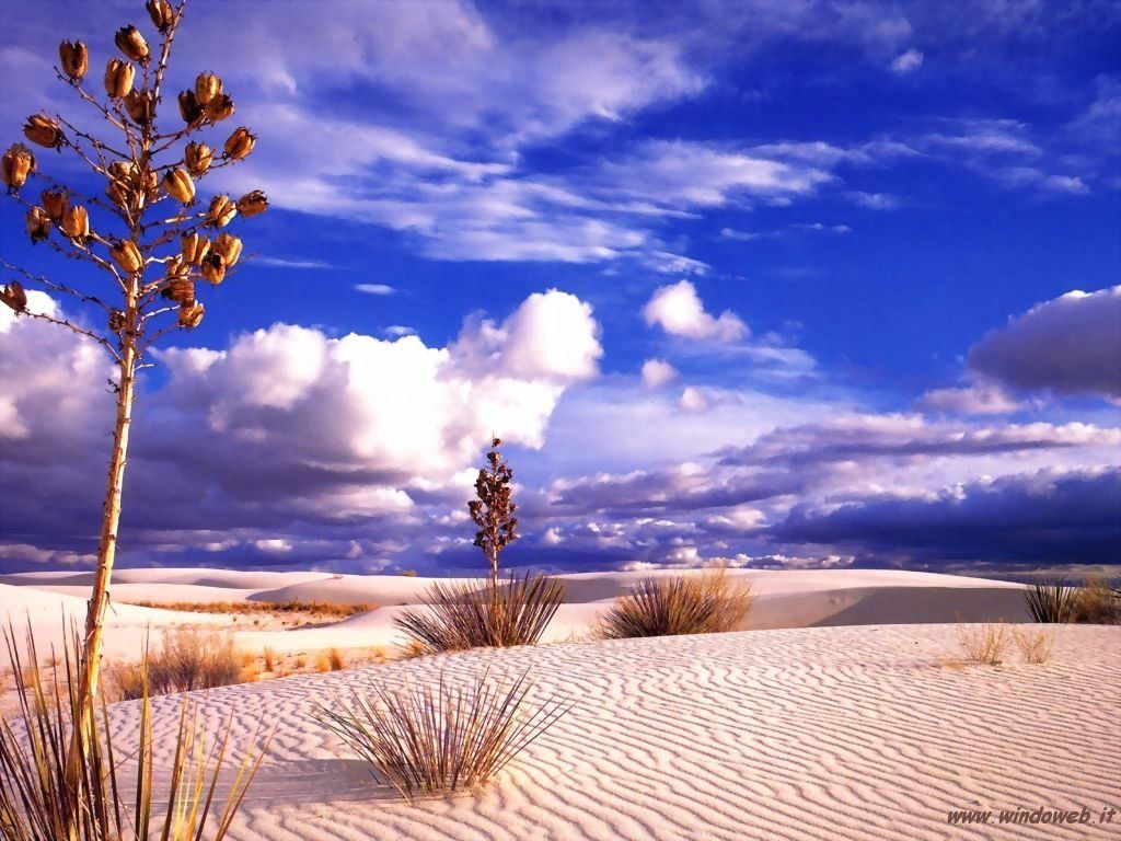 Desert Scenery Wallpapers