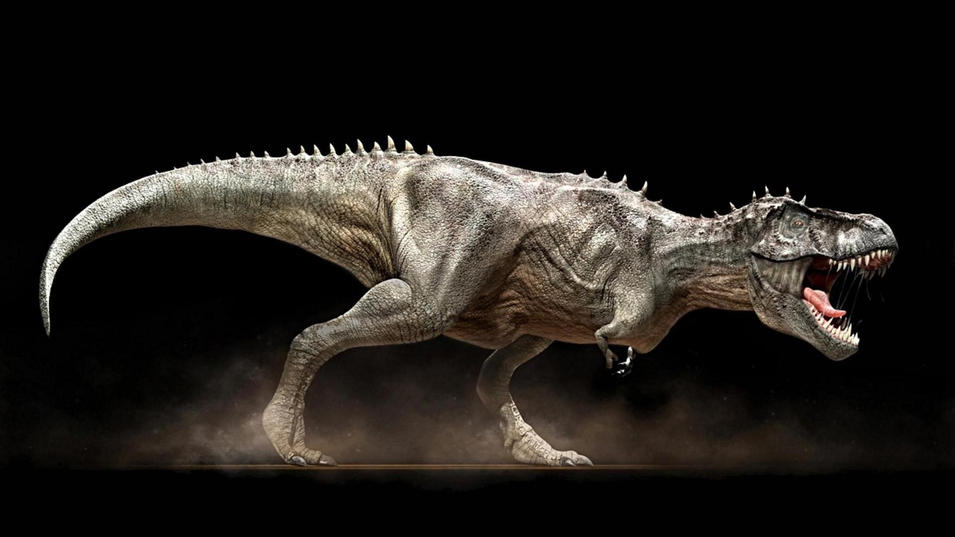 Dinosaur Hd Wallpapers