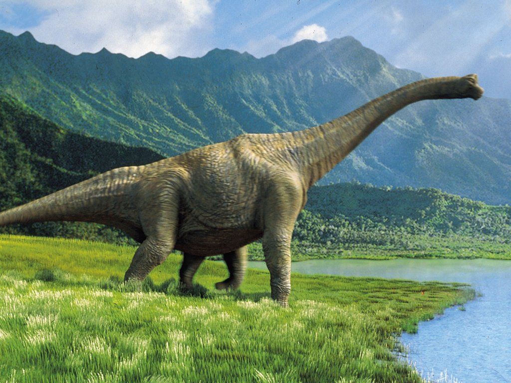 Dinosaur Hd Wallpapers