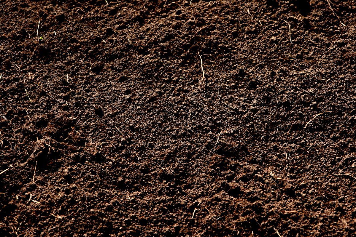 Dirt Texture Hd Wallpapers