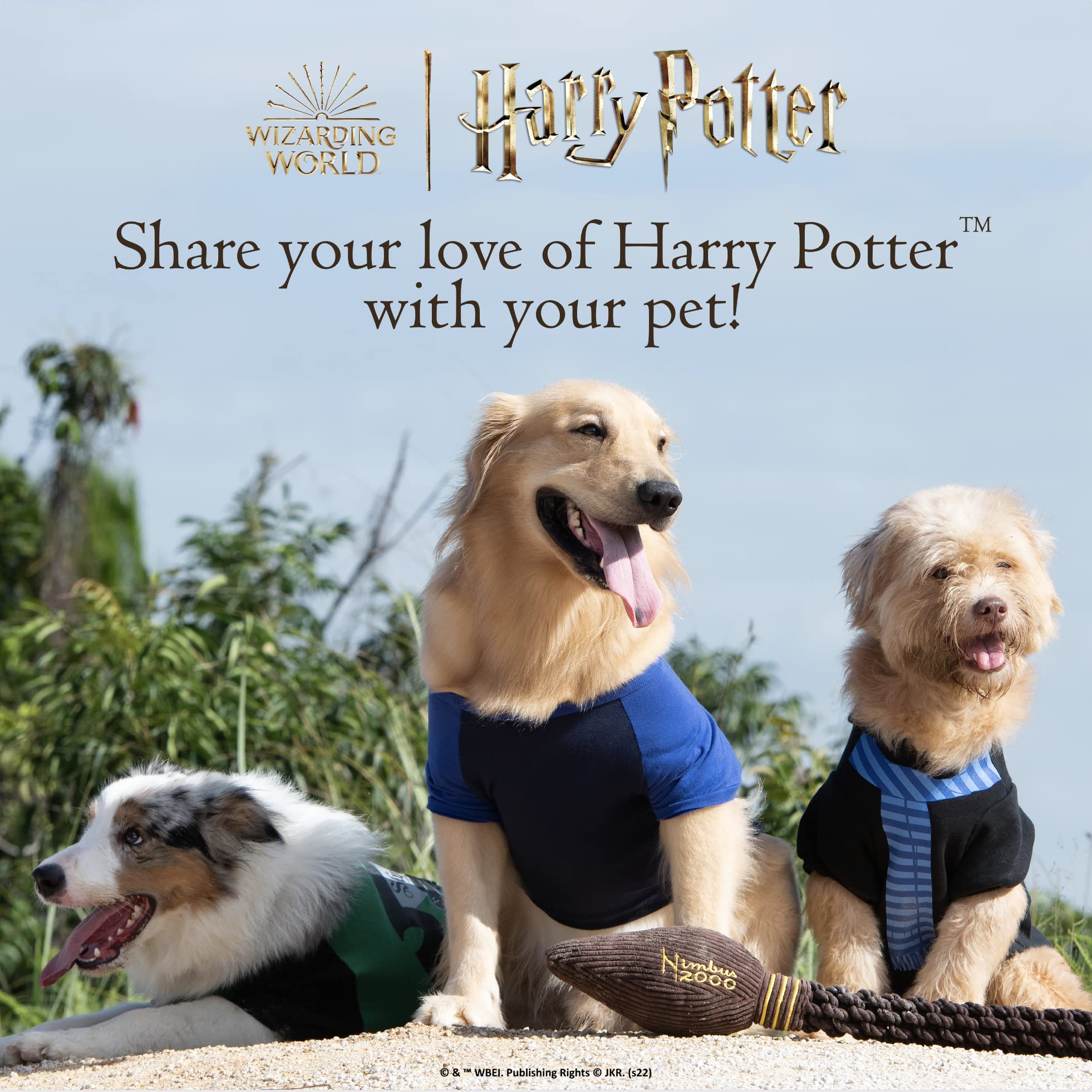 Dobby Harry Potter Dog Costume Wallpapers