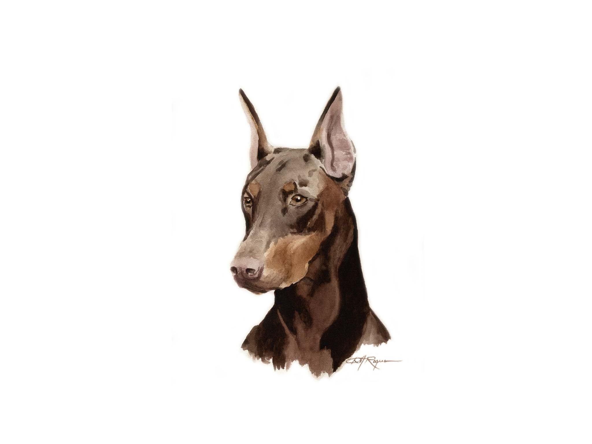 Doberman Iphone Wallpapers