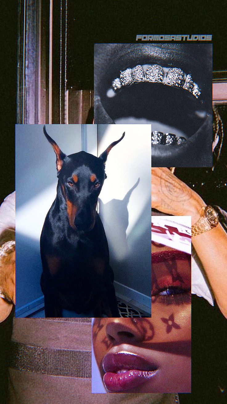 Doberman Iphone Wallpapers